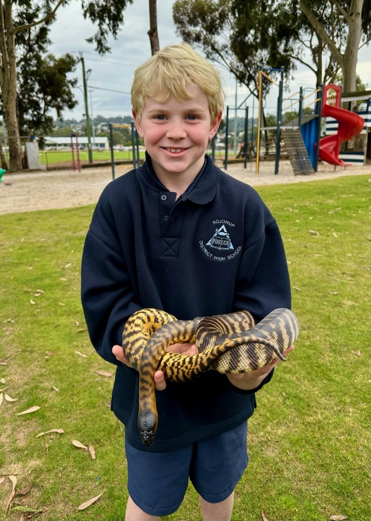 /uploaded_files/media/gallery/1758609940Bertie snake2.jpg